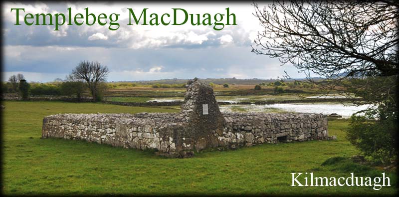 Templebeg MacDuagh
